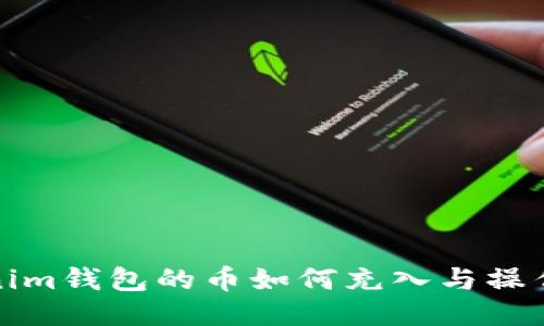 Tokenim钱包的币如何充入与操作指南
