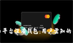 数字货币平台没有钱包：用户需知的关键要点