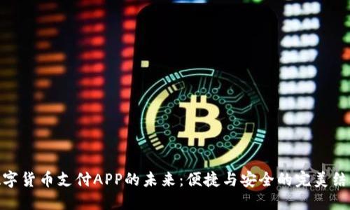数字货币支付APP的未来：便捷与安全的完美结合