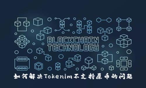 如何解决Tokenim不支持屎币的问题