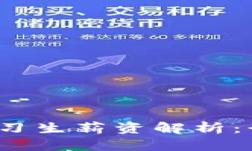  区块链钱包开发实习生薪资解析：行业现状与未来发展