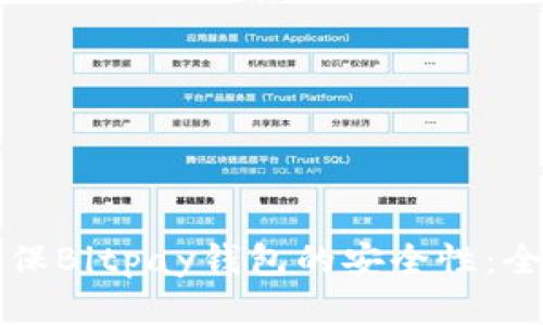 如何确保Bitpay钱包的安全性：全面指南