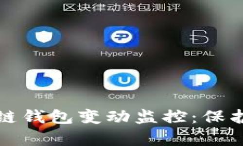 全面解析区块链钱包变动监控：保护您的数字资产