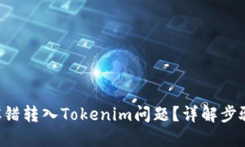 如何解决BSC错转入Tokenim问题？详解步骤与防范措施