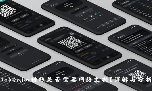 Tokenim转账是否需要网络支持？详解与分析
