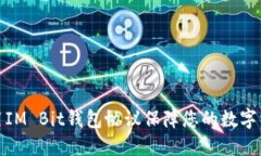 如何使用IM Bit钱包协议保障您的数字资产安全