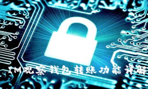  IM观察钱包转账功能详解