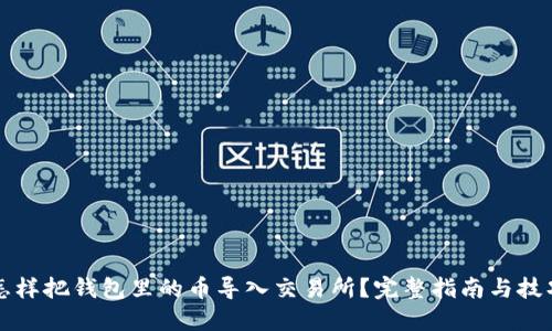 怎样把钱包里的币导入交易所？完整指南与技巧