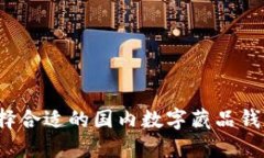 如何选择合适的国内数字藏品钱包平台？