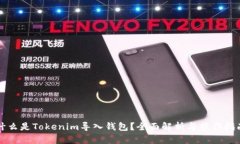 什么是Tokenim导入钱包？全面解析与操作指南