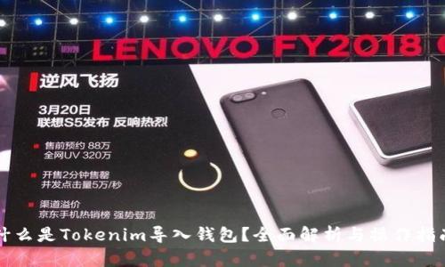什么是Tokenim导入钱包？全面解析与操作指南