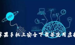 如何在苹果手机上安全下载并使用虚拟币软件