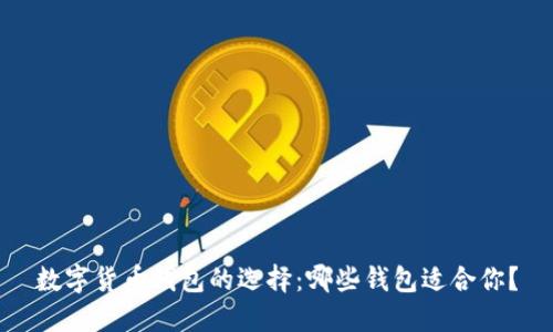 数字货币钱包的选择：哪些钱包适合你？