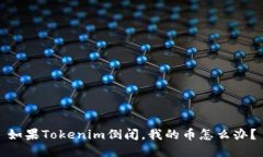 如果Tokenim倒闭，我的币怎么办？