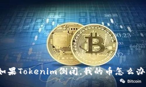 如果Tokenim倒闭，我的币怎么办？