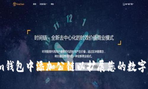 如何在Im钱包中添加公链以扩展您的数字资产管理