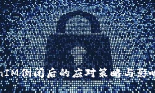 TokenIM倒闭后的应对策略与影响分析
