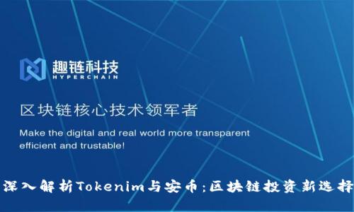 深入解析Tokenim与安币：区块链投资新选择