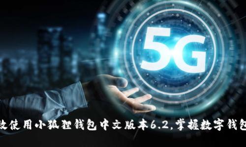 如何高效使用小狐狸钱包中文版本6.2，掌握数字钱包的精髓