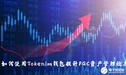  如何使用Tokenim钱包提升FGC资产管理效率
