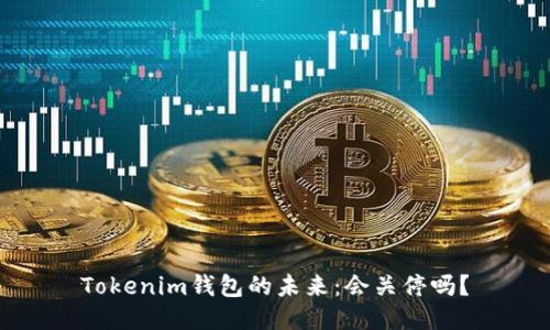 Tokenim钱包的未来：会关停吗？