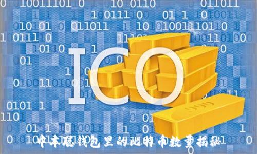  
中本聪钱包里的比特币数量揭秘