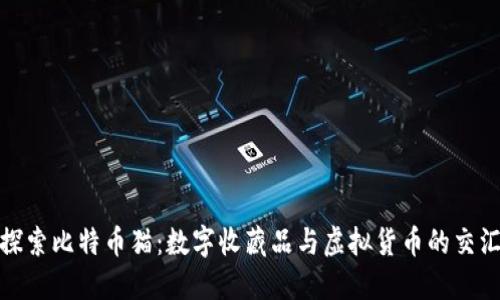 探索比特币猫：数字收藏品与虚拟货币的交汇