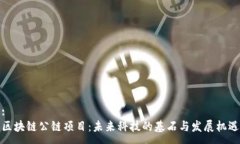 :区块链公链项目：未来科技的基石与发展机遇