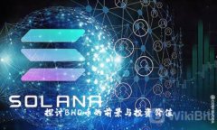 探讨BHD币的前景与投资价值