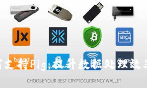 Tokenim如何支持Pig：提升数据处理效率的解决方案