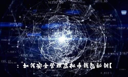 : 如何安全管理虚拟币钱包秘钥？