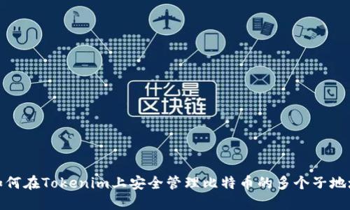如何在Tokenim上安全管理比特币的多个子地址