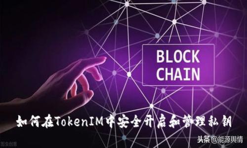 如何在TokenIM中安全开启和管理私钥
