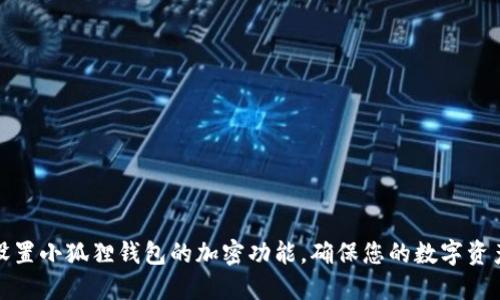 如何设置小狐狸钱包的加密功能，确保您的数字资产安全