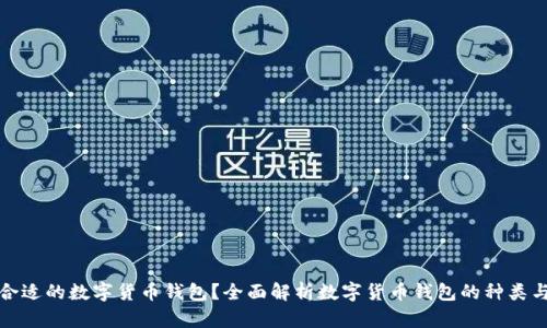 如何选择合适的数字货币钱包？全面解析数字货币钱包的种类与选择技巧