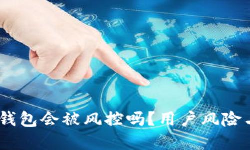  Tokenim钱包会被风控吗？用户风险与防范指南