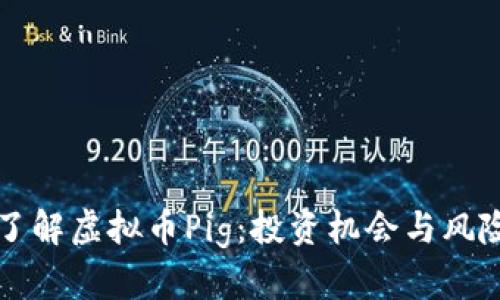 深入了解虚拟币Pig：投资机会与风险分析