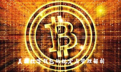 美国数字钱包的规定与管理解析