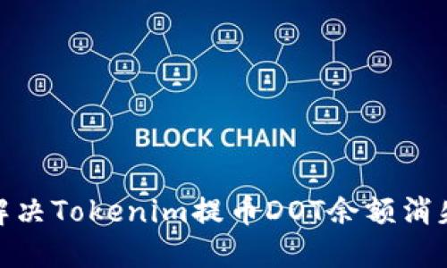 : 如何解决Tokenim提币DOT余额消失的问题