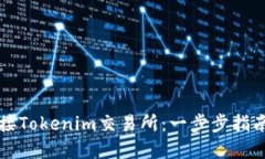 如何高效对接Tokenim交易所：一步步指南与最佳实