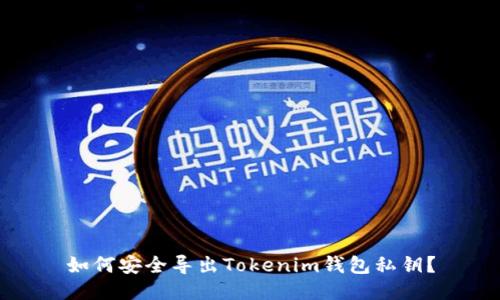 如何安全导出Tokenim钱包私钥？