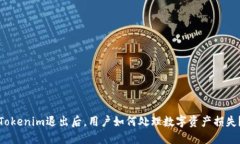 Tokenim退出后，用户如何处理数字资产损失？