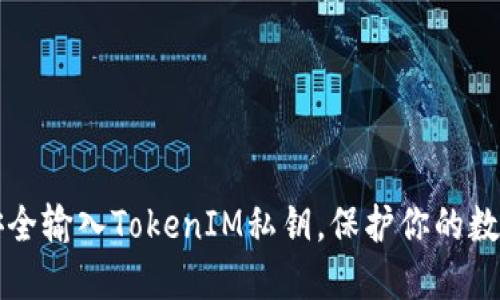 如何安全输入TokenIM私钥，保护你的数字资产