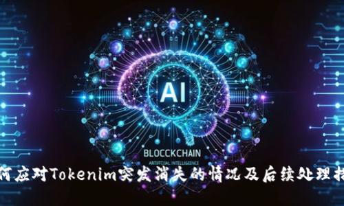 如何应对Tokenim突发消失的情况及后续处理措施