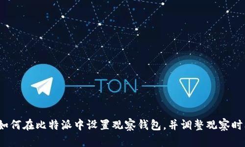  如何在比特派中设置观察钱包，并调整观察时间