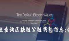 如何高效查询区块链公链钱包信息：全面指南