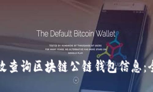 如何高效查询区块链公链钱包信息：全面指南