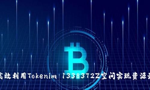 如何高效利用Tokenim 1338372Z空间实现资源最大化
