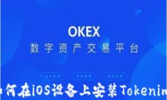 如何在iOS设备上安装Tokenim？