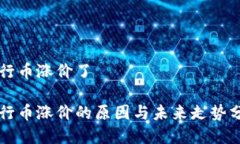 五行币涨价了五行币涨价的原因与未来走势分析